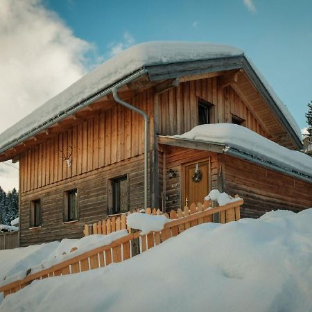 Chalet In Annaberg-Lungotz With Terrace别墅 外观 照片